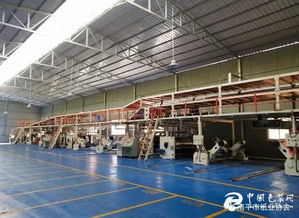 技改升級驅(qū)動高質(zhì)發(fā)展——福建南平紙箱廠七層紙板線技改項(xiàng)目順利完成