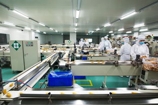 福娃六廠二期項(xiàng)目倉儲擔(dān)保方案解析